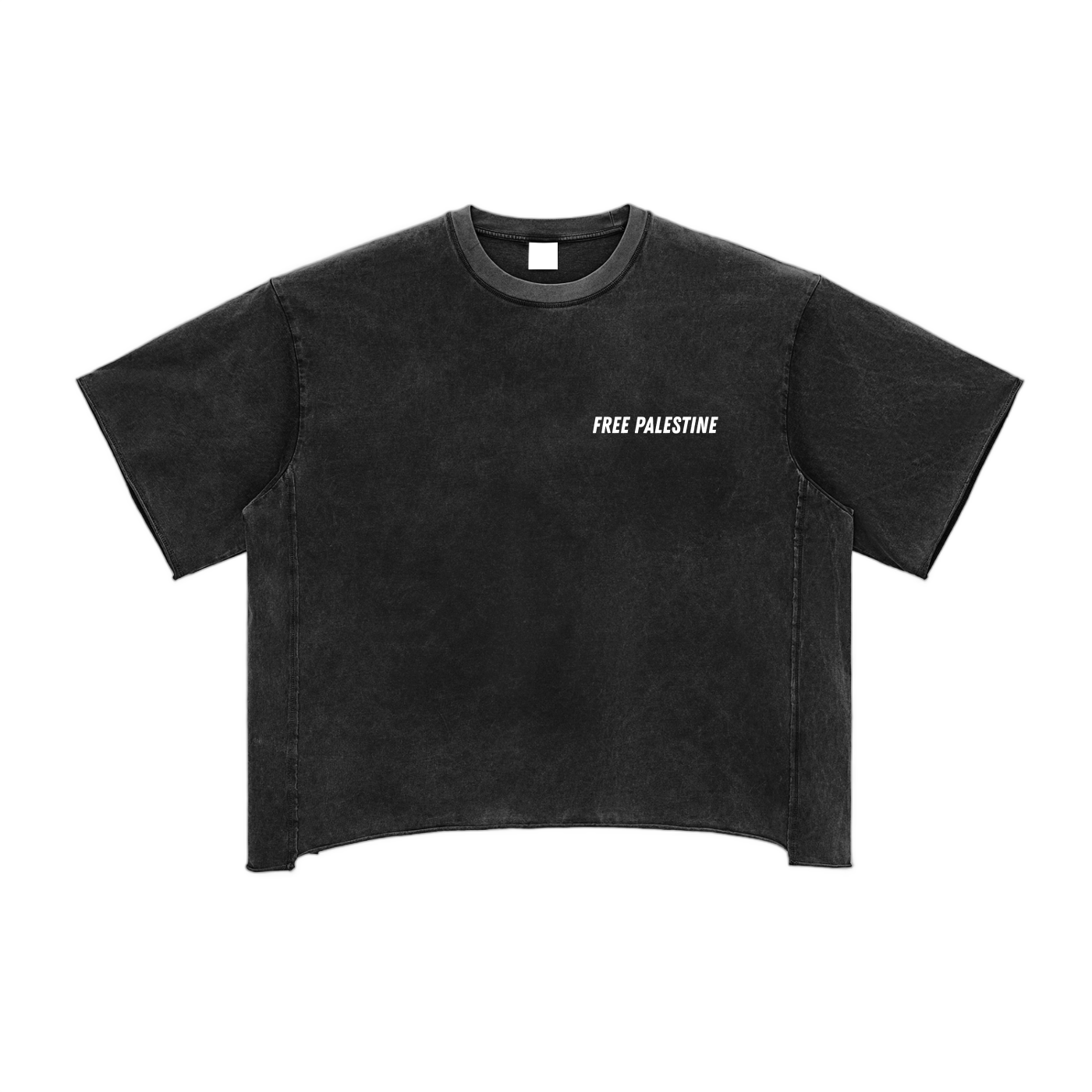 F*CK ISRAEL Raw Edge Snow Washed Boxy T-Shirt